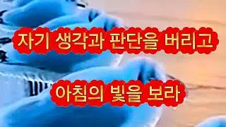 ♥ 생각과 판단을 버리고 아침을 보라