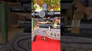 COMETA LYNX V10XL F300B LT #airecomprimido #rifleperdigones #pcpairgun #pcpairrifle #rifledeaire