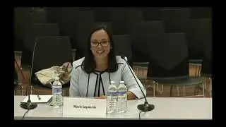 BPS Superintendent Interviews: Community Partners, Marie Izquierdo