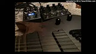 Walrus Audio Qi & Hotone Verbera