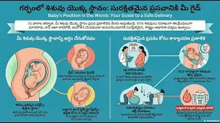 Breech Baby? | బిడ్డ తల కిందకు రాలేదా? | Fetal Position - Telugu | గర్భస్థ శిశువు స్థానం