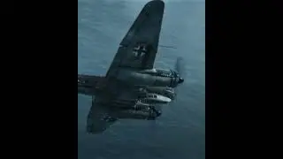 The plane was shot down 