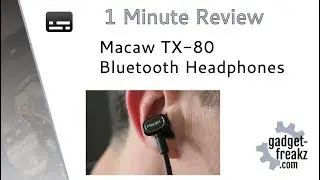 Macaw TX-80 Detachable Neckband Bluetooth Headphones One Minute Review