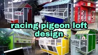 loft design for pigeon