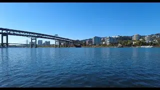 Canoeing to Ross Island: Hidden Gems on the Willamette River