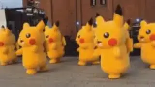 Pokan  video