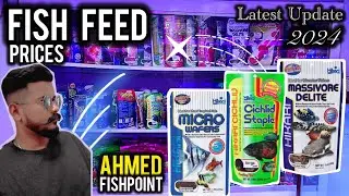 Aquarium Fish Feed Prices | FlSH POINT Shop Lalukhet Aquarium Market 2024 - Imran's World
