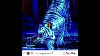 Blue tigers