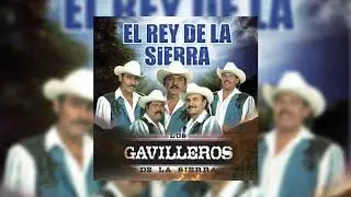 LOS 4 SINALOAS - LOS GAVILLEROS DE LA SIERRA
