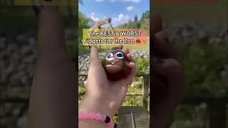 The BEST & WORST Fidgets to Bring to a Zoo! 🦓🦧🦒