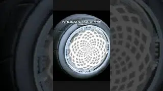 I'M LOOKING FOR TITANIUM WHITE ZOMBA