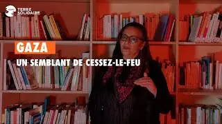 Un cessez-le-feu en Palestine ?