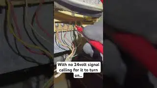 Troubleshooting a blower motor that wont shut off on a gas furnace
