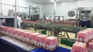 Sunswell PET bottle juice production line fully automatic high speed filling machine