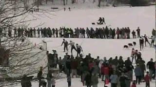 City of Lakes Loppet Skijoring