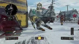 Cordite Gold Roag To Dark Matter BO4