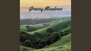 Wooded Hills
