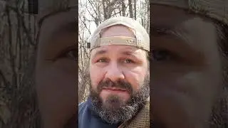 Охота на криптидов пошла не так