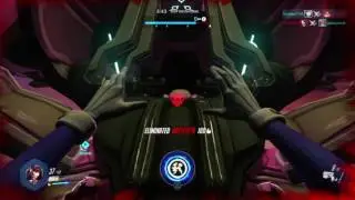 D.Va Mad Broke