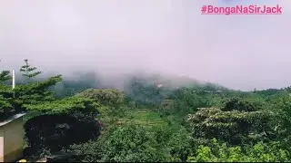 FARM TOUR USHAGO 🫡🫡 #Wundanyi #Werugha #mungaieve #evemungai #taita #bonganajalas #BongaNaSirJack.