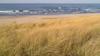 miller beach on a fall day