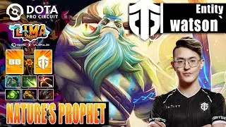 BETBOOM vs ENTITY | WATSON 13K MMR NATURE'S PROPHET HARD CARRY | LIMA MAJOR 2023 Dota 2 Highlights