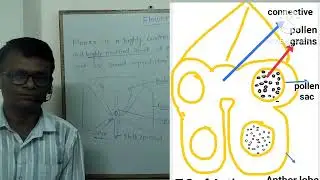 pollination and it's types | self pollination and type | cross pollination and it's types @khan sir