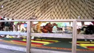 Derby Ride at Rye Playland