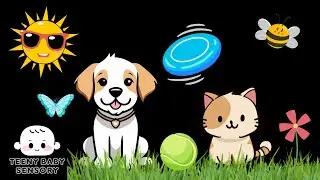 Cuteness Overload! Puppies & Kittens Playing | Baby Sensory Video | High Contrast