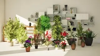indoor potted plants 3d animation with unreal
