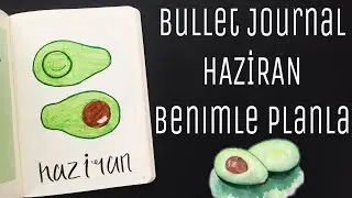 Bullet Journal Haziran 2020 / Bujo June Setup | Planlayıcı Ajanda