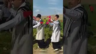 Bakhtiari folklore dance
