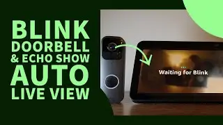 Blink Video Doorbell & Echo Show &mdash; настройка и автоматический просмотр в реальном времени