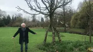 Sjoerd Buisman bekijkt zijn Tree on Legs in Arboretum Kalmthout