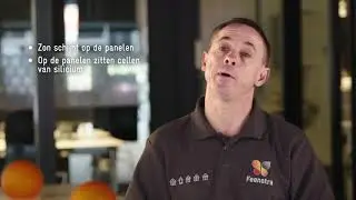 Frank over zonne-energie | Feenstra