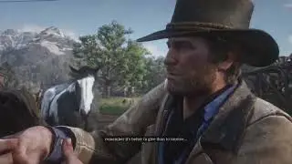 Red Dead Redemption 2 Branwen , Boaz And MFT Horse Breeds Get Horse Care Package