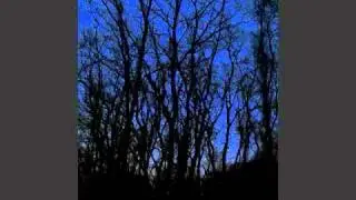 Watch Me Fall -Discord Symphony