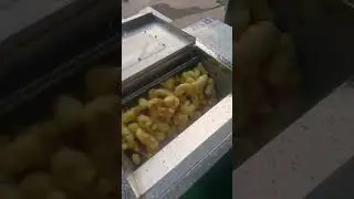 Ginger washing/peeling machine
