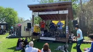 Hey Jude at Chappell Hill Blue bonnet festival
