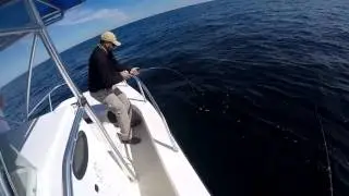 Jigging for jacks