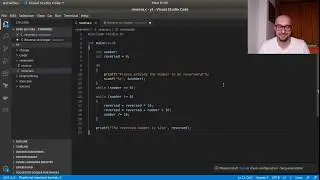 How to reverse an integer - C Programming