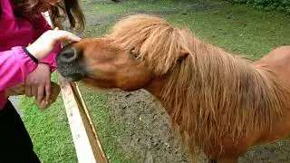 Ferleiten Wildpark