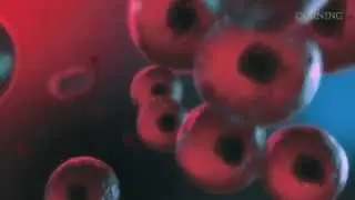 Happier Little Cells - Corning Life Sciences