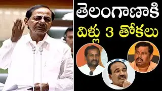 CM KCR Comments On BJP MLA's In Telangana Assembly Session | TRS | Political Qube