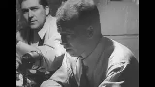 Brooklyn Dodgers vs NY Giants, Ebbets Field 04/22/1950 full radio broadcast Red BarberConnie Desmond