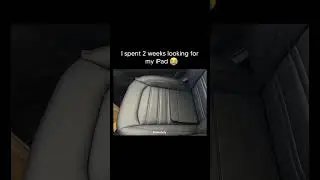 Day 89 of collecting meme gang.#CamouflageLevel100 #meme #comedy #funny