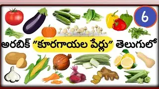అరబిక్ 