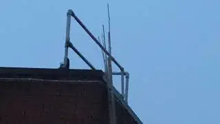 [8 BLADED PROP] US Navy Lockheed C-130T Hercules [165378] Sound Recording