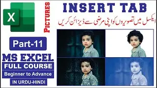 MS Excel Pictures | Microsoft Excel Tutorial for Beginners | MS Excel Course | Part 11