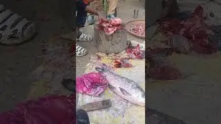  #Fishcutting#fishing #seafood #fish #food #viralvideo ##reels #video #tiktok 